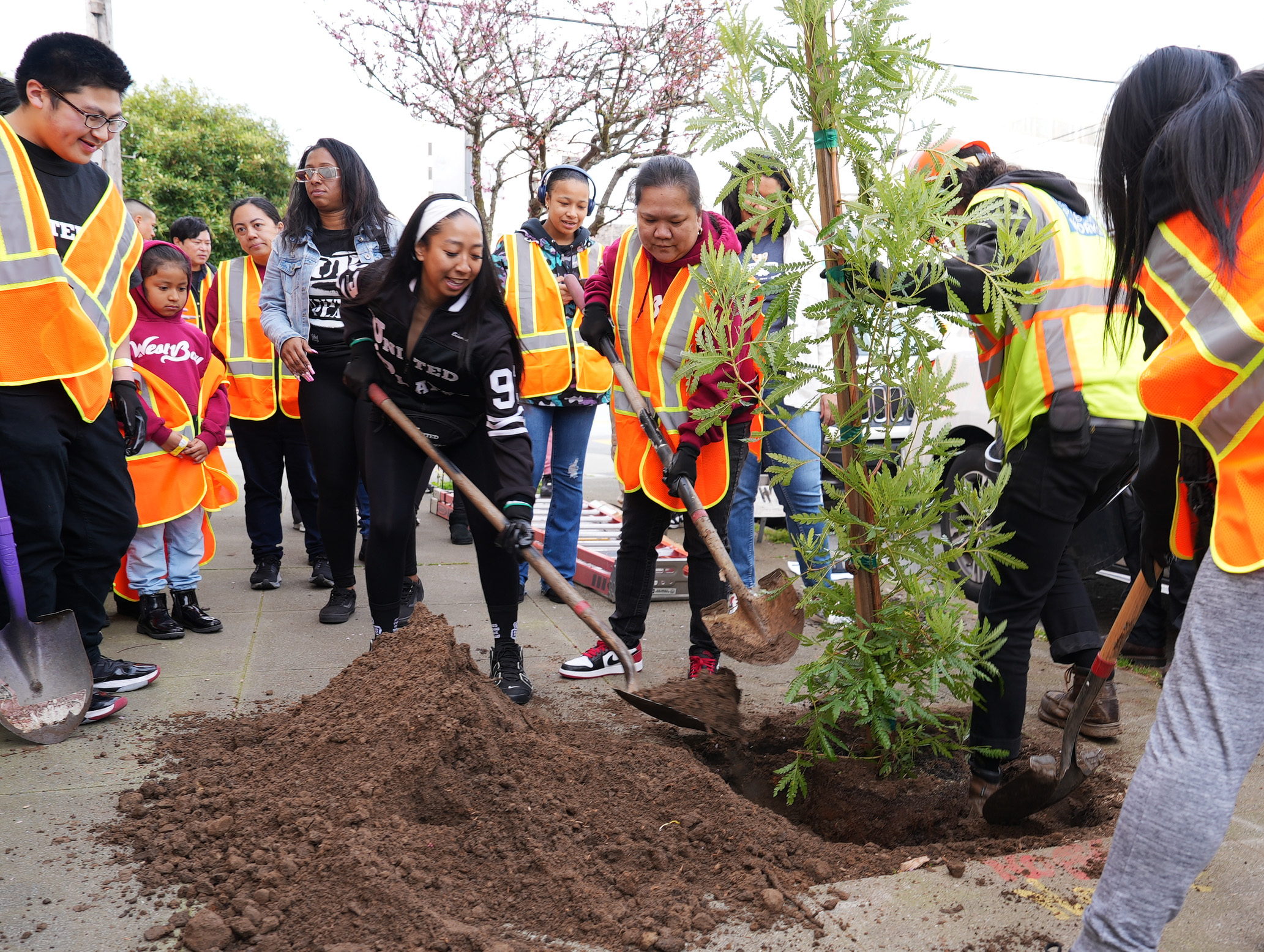 SF Public Works 3500 Trees Project